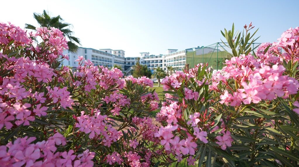 Rizom Beach Hotel görsel 3