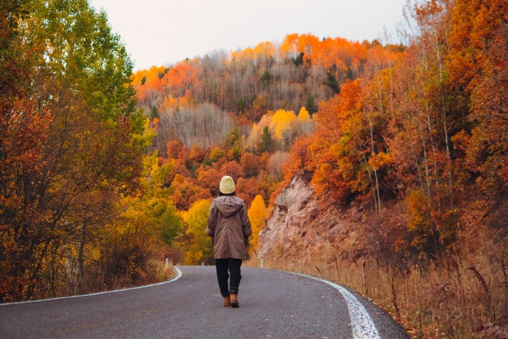 Çam Thermal Resort Spa Convention Center mobil görsel 73