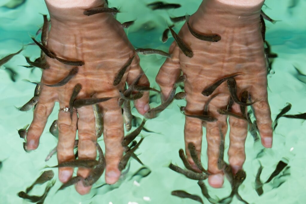 Çam Thermal Resort Spa Convention Center mobil görsel 105