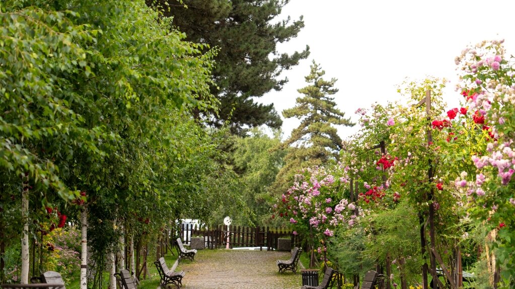 Çam Thermal Resort Spa Convention Center mobil görsel 39